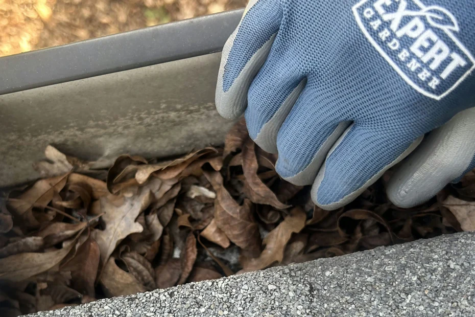 Gutter Cleaning Chic's Beach